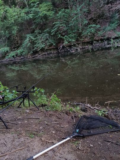 Sieg (Freusburg-Büdenholz)-3