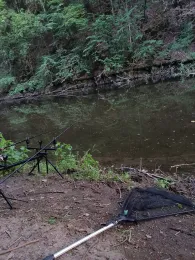 Sieg (Freusburg-Büdenholz)-3