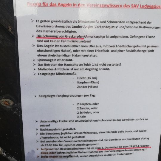 Ziegeleiteiche Kummer-3