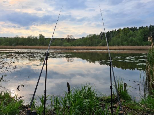Cantdorfer Wiesen-2