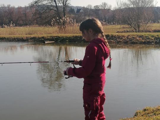 Auweiher (Schnaittach)-4