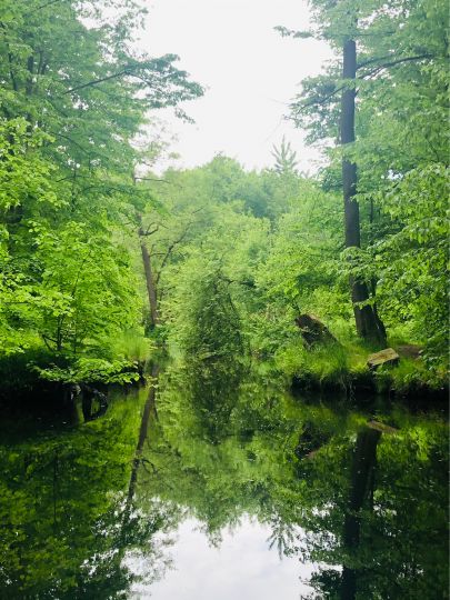 Große Röder (Ottendorf-Okrilla)-2