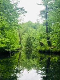 Große Röder (Ottendorf-Okrilla)-2