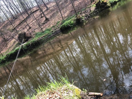 Große Röder (Ottendorf-Okrilla)-4