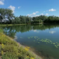 Hubertusgewässer (Emmerich)