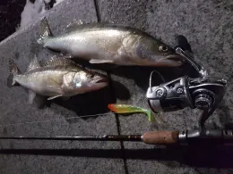 Uecker (Ueckermünde)-1