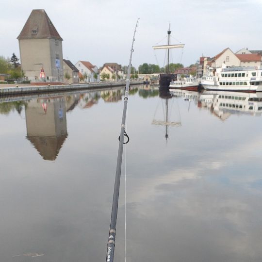 Uecker (Ueckermünde) angeln