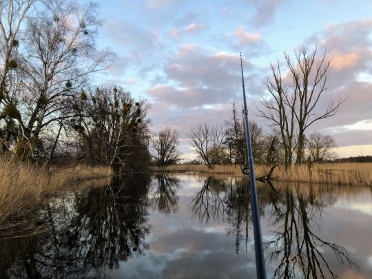 Uecker (Ueckermünde)-3