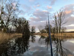 Uecker (Ueckermünde)-3