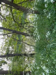 Erdelöcher Netzen (Süd)