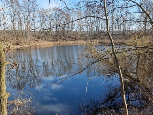 Erdelöcher Netzen (Süd)-1