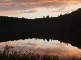 Kesselsee (Waldsieversdorf)-2