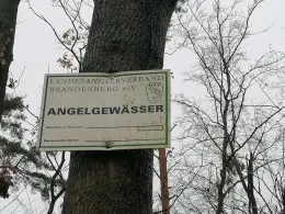 Kesselsee (Waldsieversdorf)