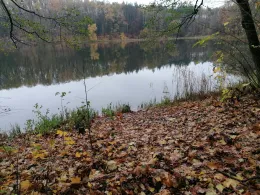 Kesselsee (Waldsieversdorf)-4