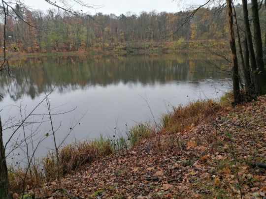 Kesselsee (Waldsieversdorf)-3