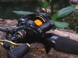 Schwarze Laber (Laaber)-1