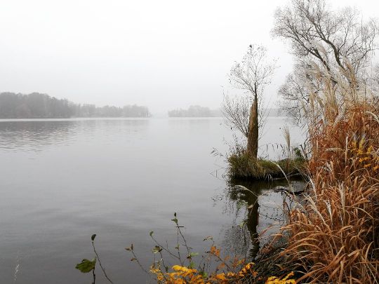 Große Krampe-3