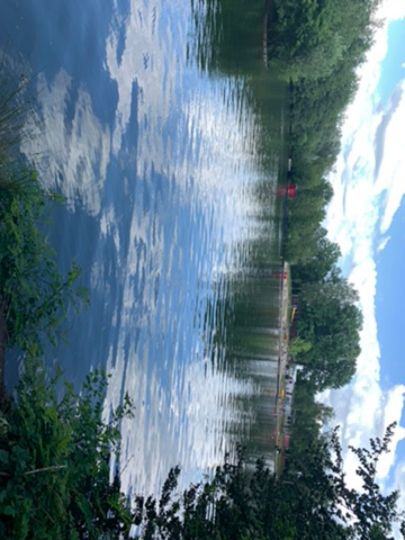 Großer und kleiner Recker-3