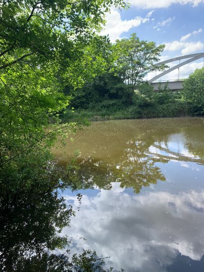 Großer und kleiner Recker-4