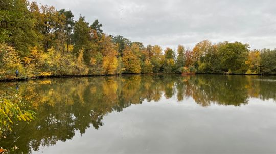 Großer und kleiner Recker-2