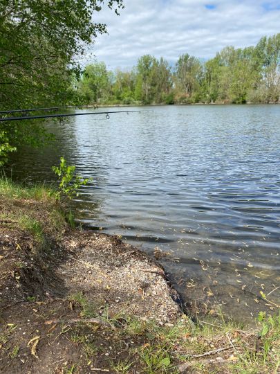 Brandlweiher (Notzing)-2