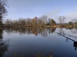 Brandlweiher (Notzing)