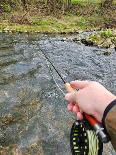 Schwarzach (Altdorf)-4