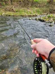 Schwarzach (Altdorf)-4