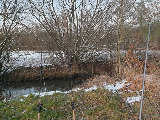 Schwarzach (Altdorf)-1