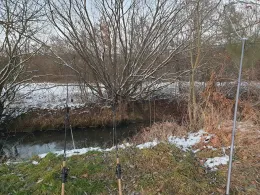 Schwarzach (Altdorf)-1