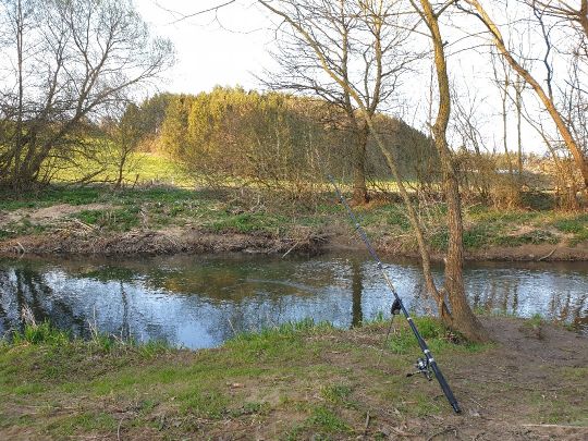 Schwarzach (Altdorf)-2