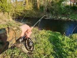 Schwarzach (Altdorf)-3