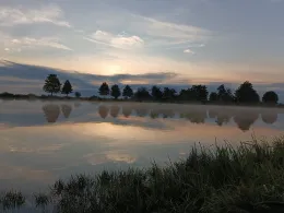 Rödicher Teich (Schnepfenthal)-3