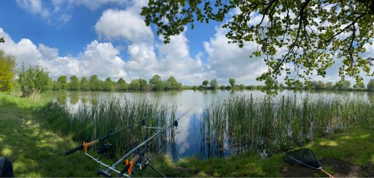 Rödicher Teich (Schnepfenthal) ALLE ANGELN