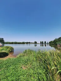 Rödicher Teich (Schnepfenthal)-4