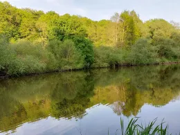 Weinlache (Görlitz)