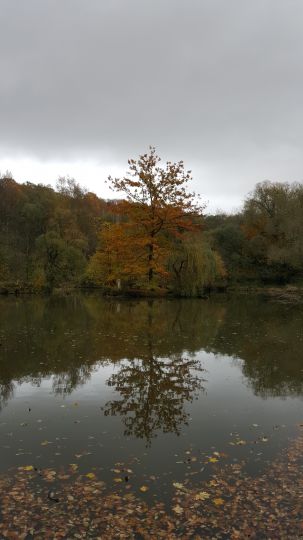 Weinlache (Görlitz)-4