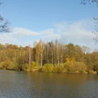 Weinlache (Görlitz)-2