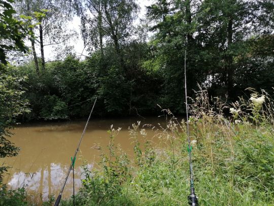 Große Vils (Taufkirchen)