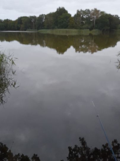 Kiebitzmoor (Grevesmühlen)-3