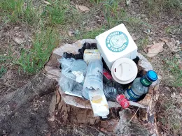 Kiebitzmoor (Grevesmühlen)