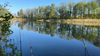 Kiebitzmoor (Grevesmühlen)-2