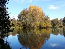 Katzenteich (Grebenhain)-1