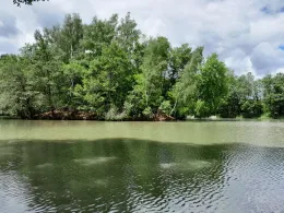 Katzenteich (Grebenhain)