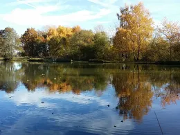 Katzenteich (Grebenhain)-2