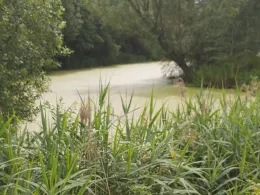 Steinwerk see (Perniek)