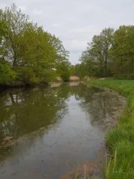 Marschwetter (Hittbergen)-3