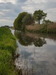 Marschwetter (Hittbergen)-2