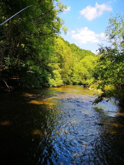 Wied (Döttesfeld)-1