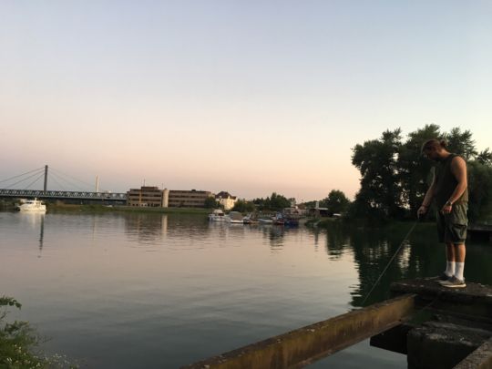 Hafen Maximiliansau angeln